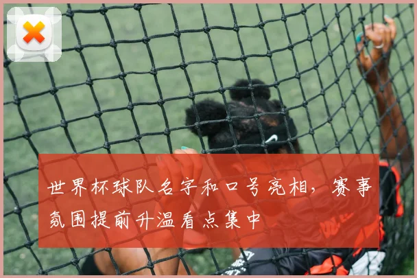 世界杯球队名字和口号亮相,赛事氛围提前升温看点集中