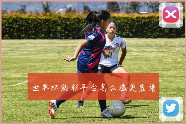世界杯购彩平台怎么选更靠谱