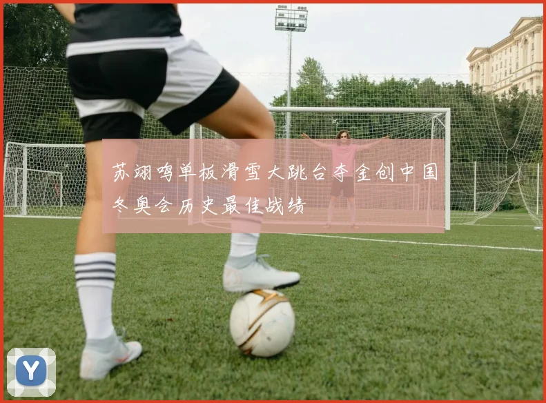 苏翊鸣单板滑雪大跳台夺金创中国冬奥会历史最佳战绩